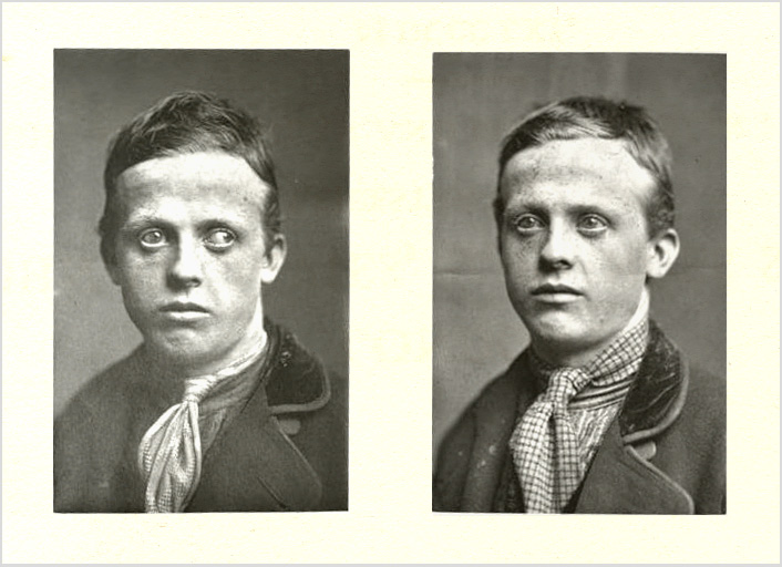 Taylor 1883