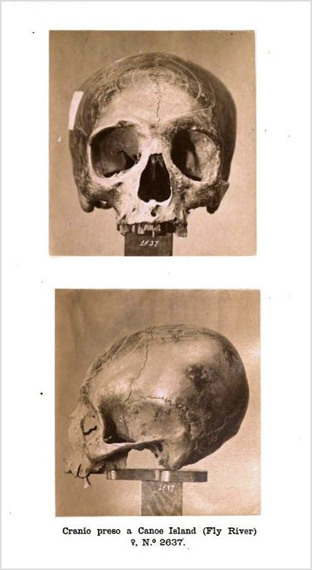 Mantegazza1881