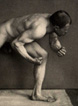 Plate 12 Hypertrophia muscularis vera