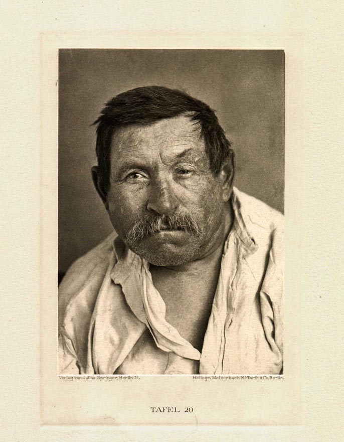 Plate 19