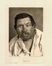 Plate 20